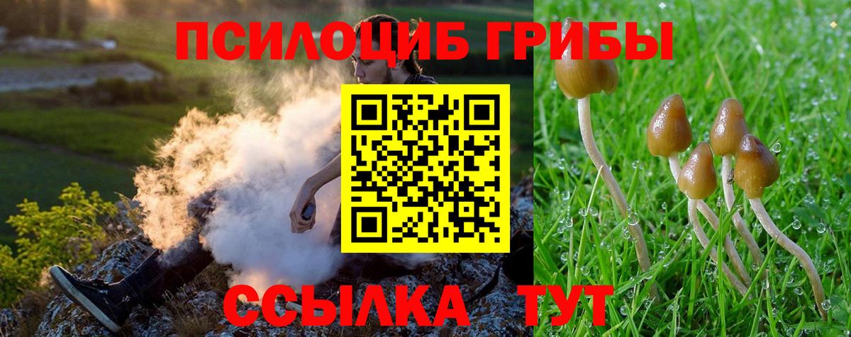 Псилоцибиновые грибы GOLDEN TEACHER  Галлюциногенные грибы MAGIC MUSHROOMS  Кольчугино  Вход с VPN 