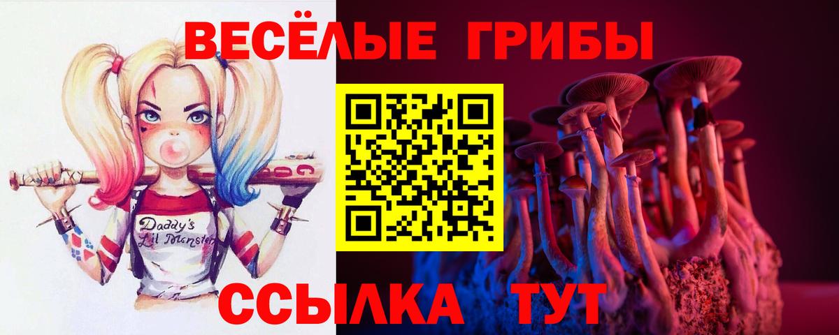 Галлюциногенные грибы мицелий Кольчугино